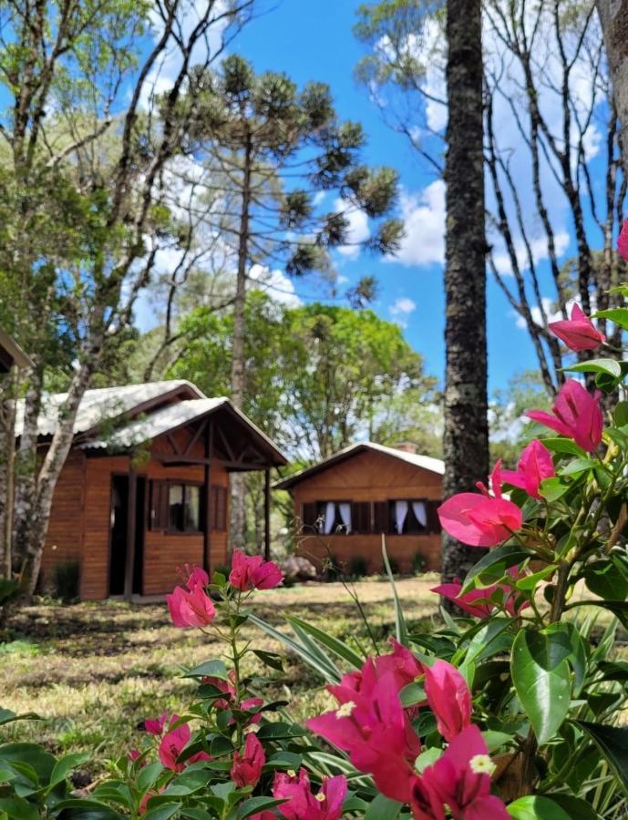 Cabanas Dos Pinheiros São Francisco de Paula Exterior foto