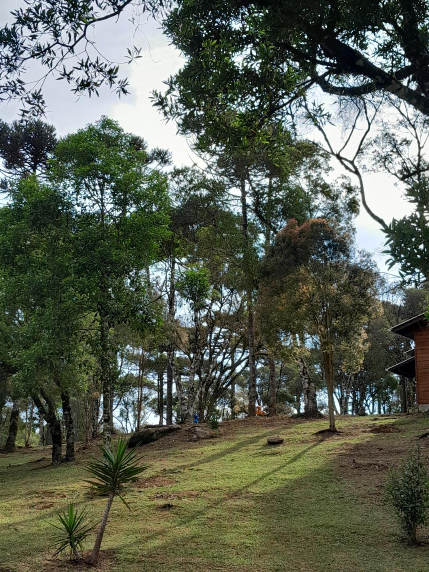 Cabanas Dos Pinheiros São Francisco de Paula Quarto foto
