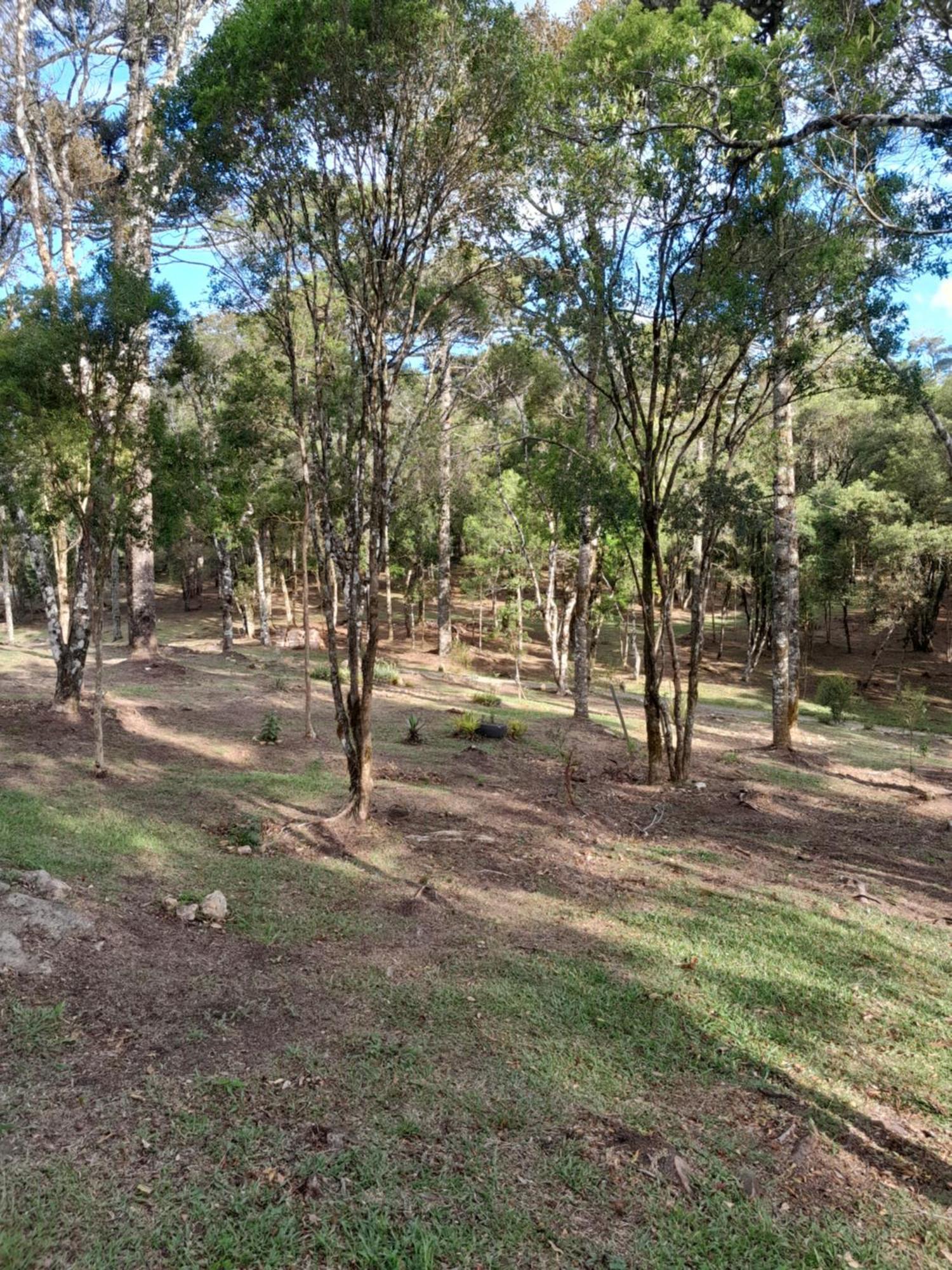 Cabanas Dos Pinheiros São Francisco de Paula Quarto foto