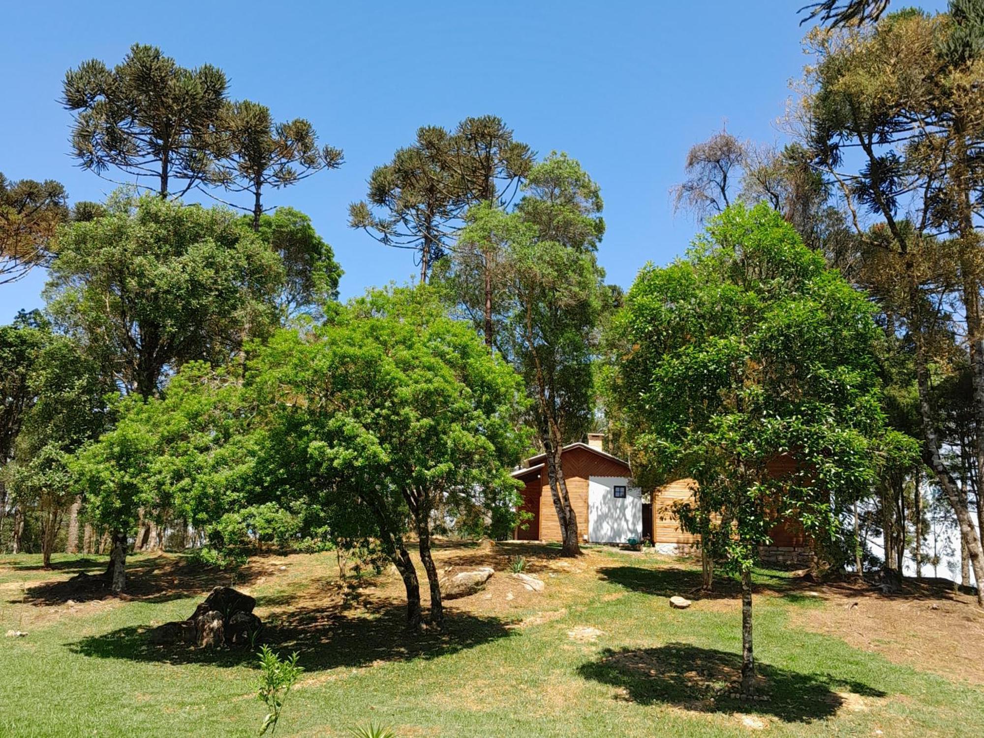 Cabanas Dos Pinheiros São Francisco de Paula Quarto foto